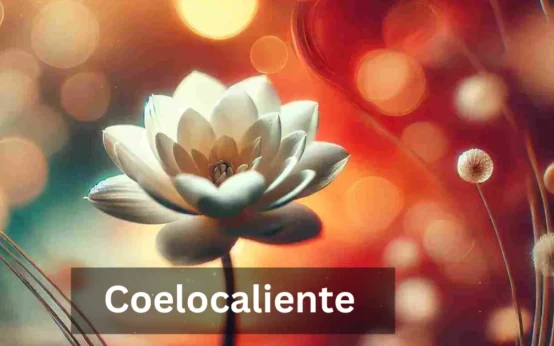 coelocaliente